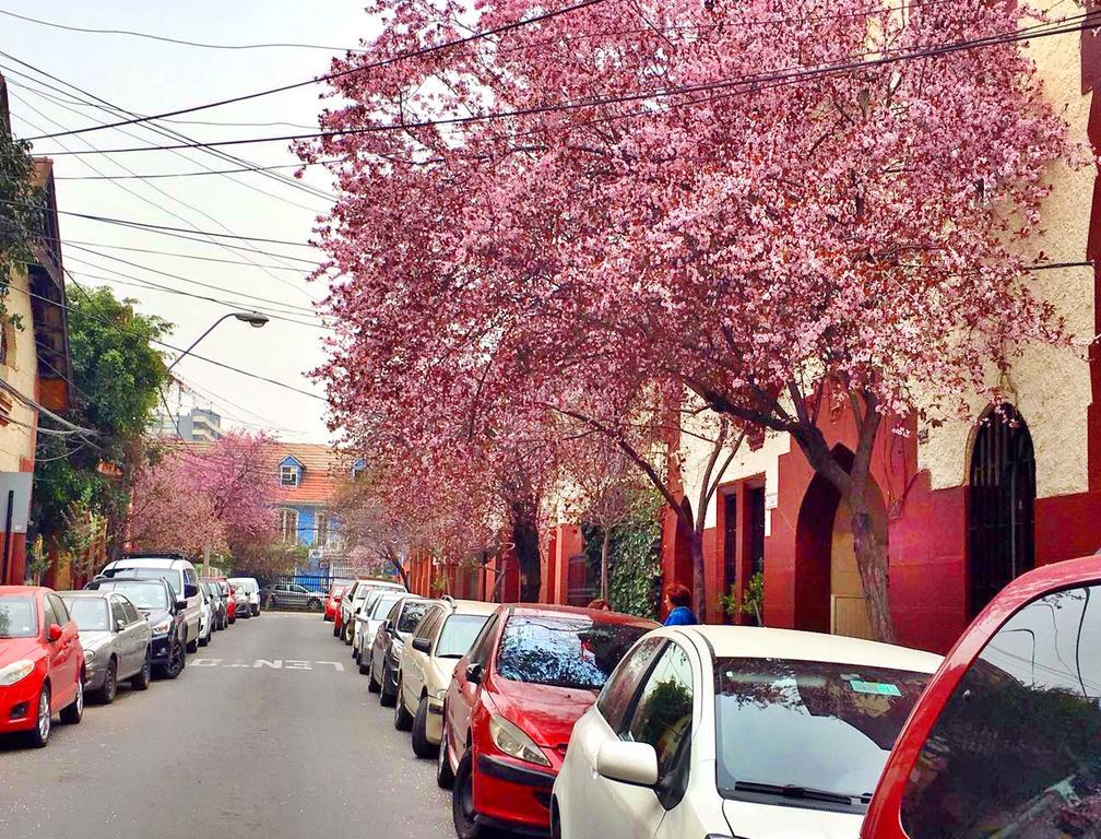 Tralkan B&B Santiago de Chile Zewnętrze zdjęcie